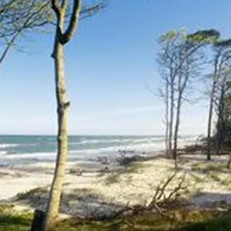 Ferienwohnung 700M Vom Strand Graal-Mueritz Exterior photo